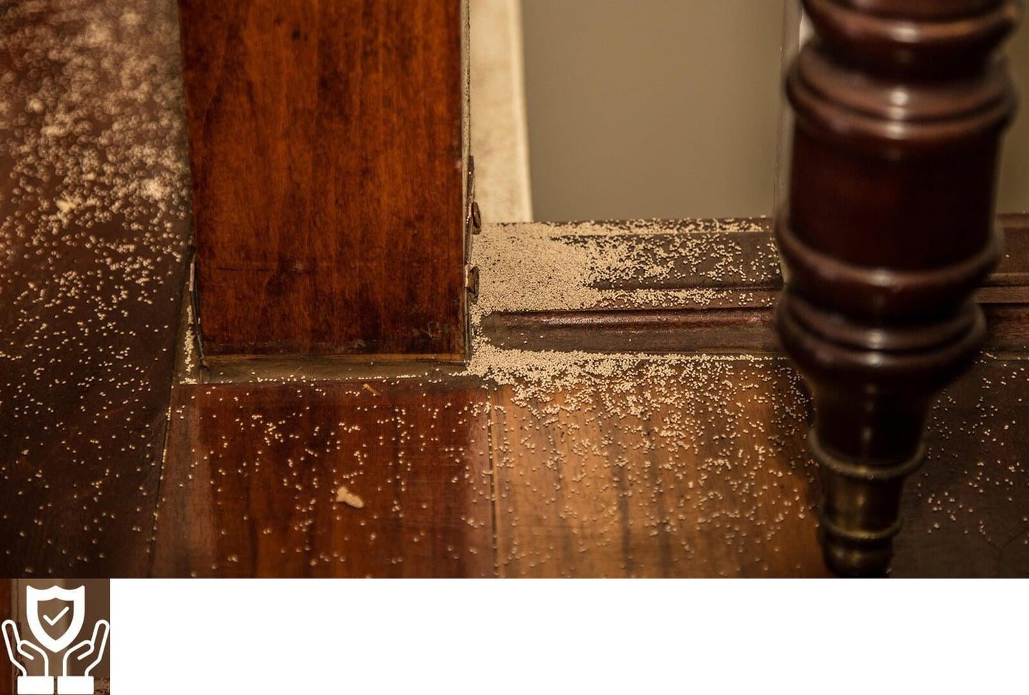 Star Wood Shield: Ultimate protection for wood surfaces. UV-resistant, hydrophobic formula.