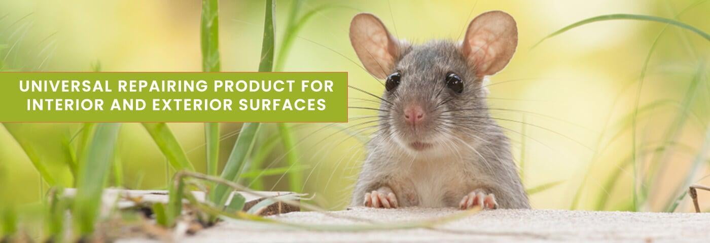 Protect your space with Star Rodent Shield, the leading rodent repellent for home. Advanced pest control technology for peace of mind.