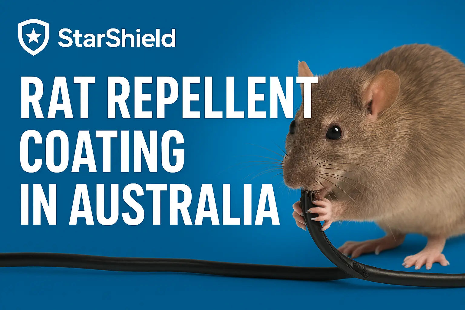 Rat Repellent Coating In Australia – Protect Your Property with StarShield’s Advanced Solution