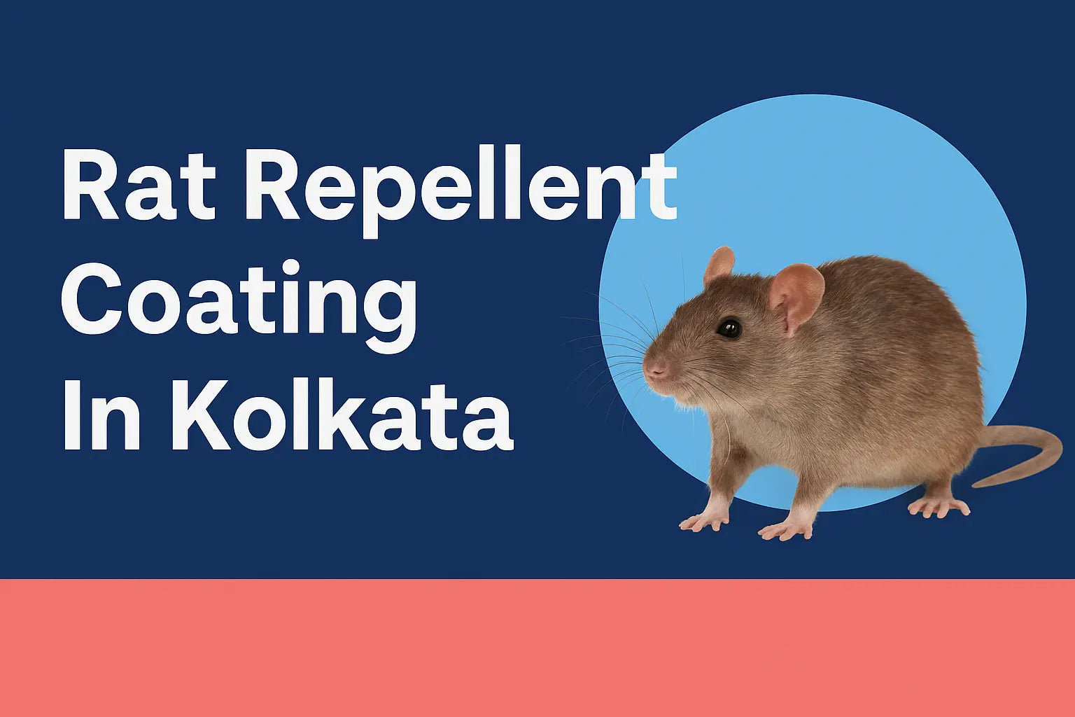 Rat Repellent Coating In Kolkata – The Smart Way to Protect Your Property