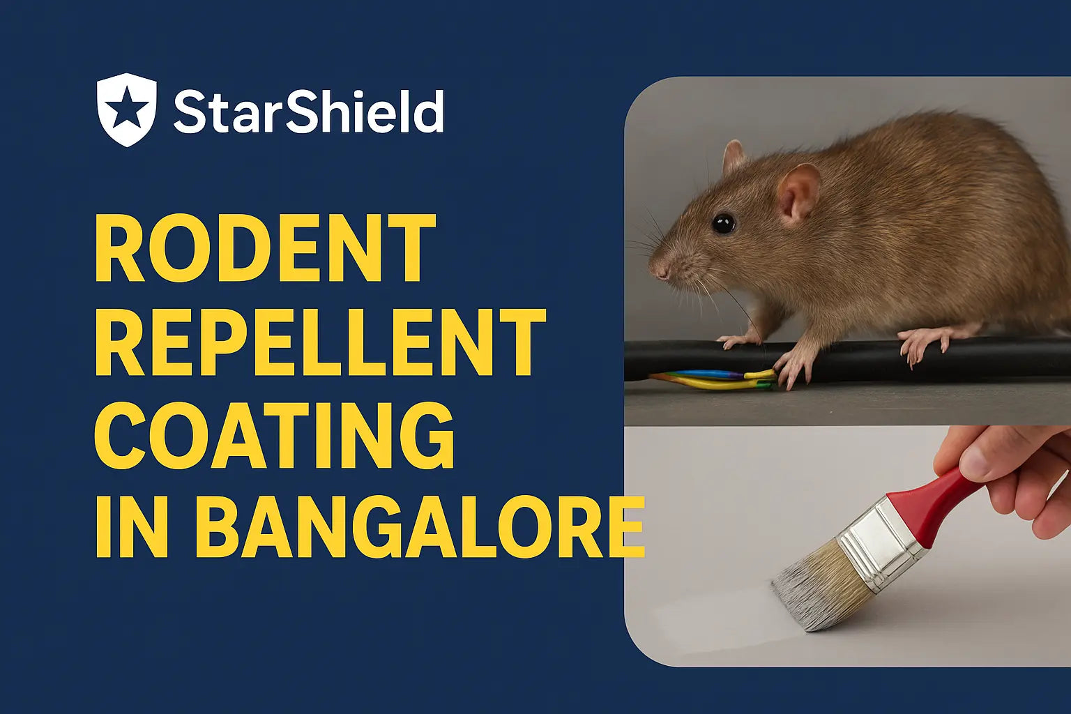 Rodent Repellent Coating in Bangalore – Reliable Protection by StarShield