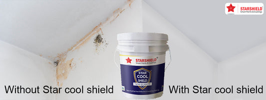 Stay Cool: The Advantages of StarShield Heat Protective Coatings in Mandya