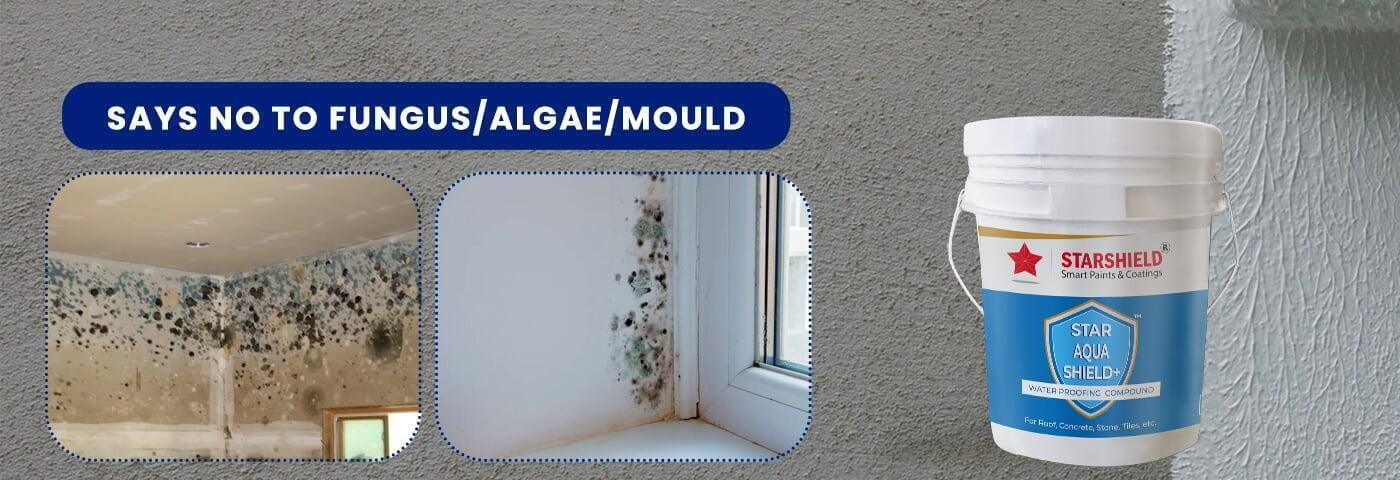 Protect surfaces with Star Aqua Shield +: Advanced elastomeric waterproofing coating. Heat reduction and durability assured.